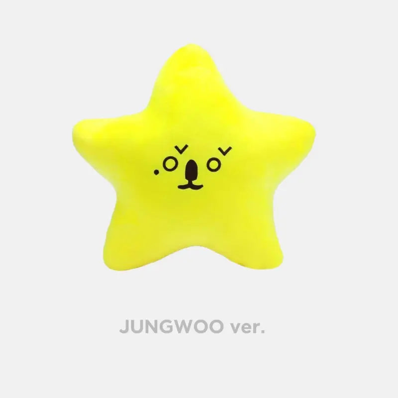 NCT 127 8th Anniversary Official Merchandise - Starfish Cushion Set