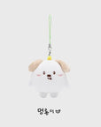RIIZE RIIZING DAY FINALE Official Merchandise - Mini Doll Keyring