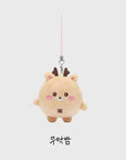 RIIZE RIIZING DAY FINALE Official Merchandise - Mini Doll Keyring