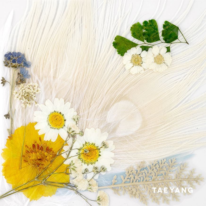 Taeyang 3rd Album - White Night