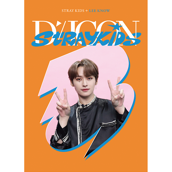 D-Icon D'Festa Mini Edition : Stray Kids – Choice Music LA