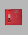 The Boyz 1st Album - Reveal