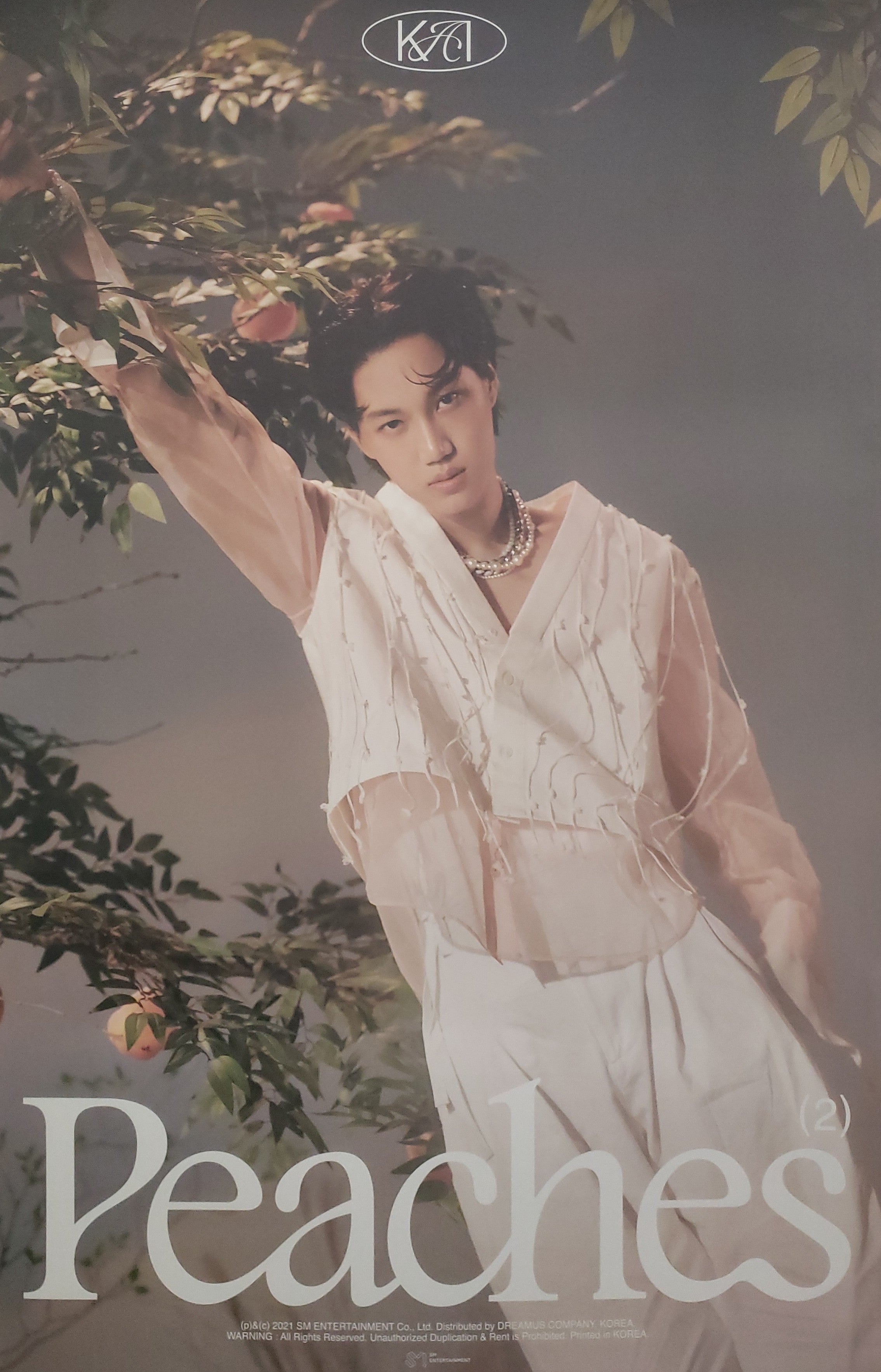 Kai 2nd Mini Album Peaches Official Poster - Photo Concept Peaches – Choice  Music LA