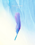 Got7 3rd Album - Present: You