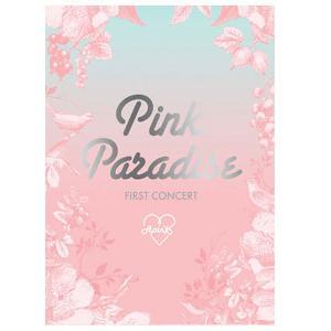 에이핑크 Apink 1st CONCERT LIVE DVD [PINK PARADISE]