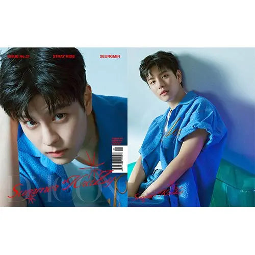 D-Icon Issue N°21 Stray Kids : Summer KraZy