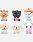 [Pre-Order] NCT WISH IN TO THE WISH : OUR WISH Encore Official Merchandise - Star Wish Doll