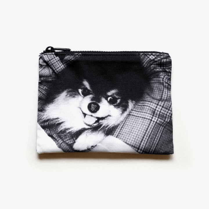 V Layover Official Merchandise - Reversible Pouch