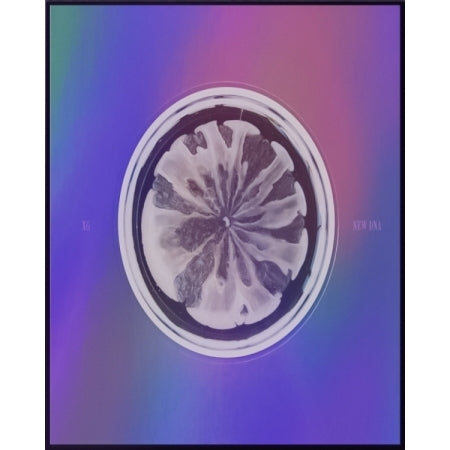 XG 1st Mini Album - NEW DNA