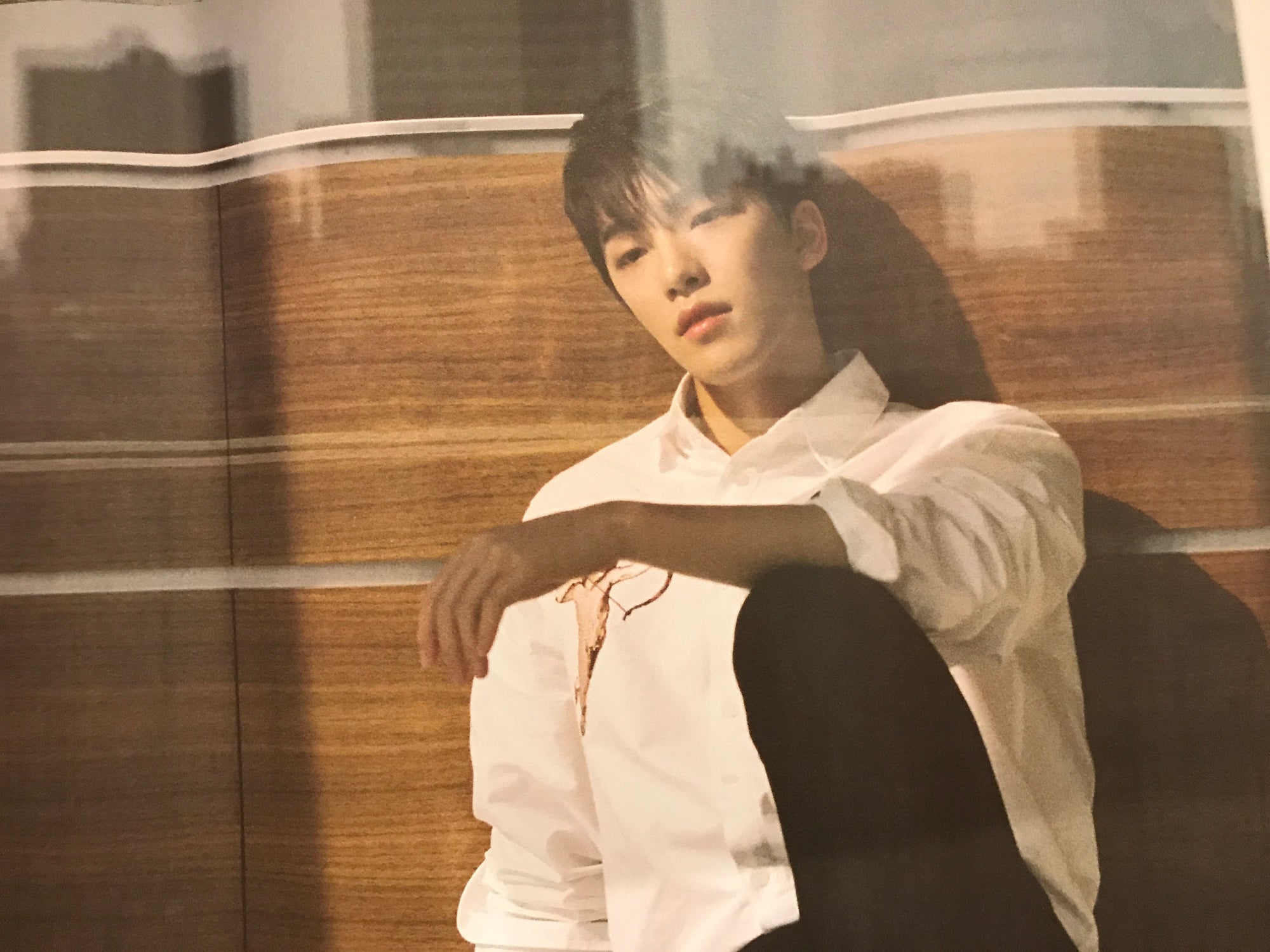 Seventeen 4th Album [Al1] - Limited Member Unfolded Poster