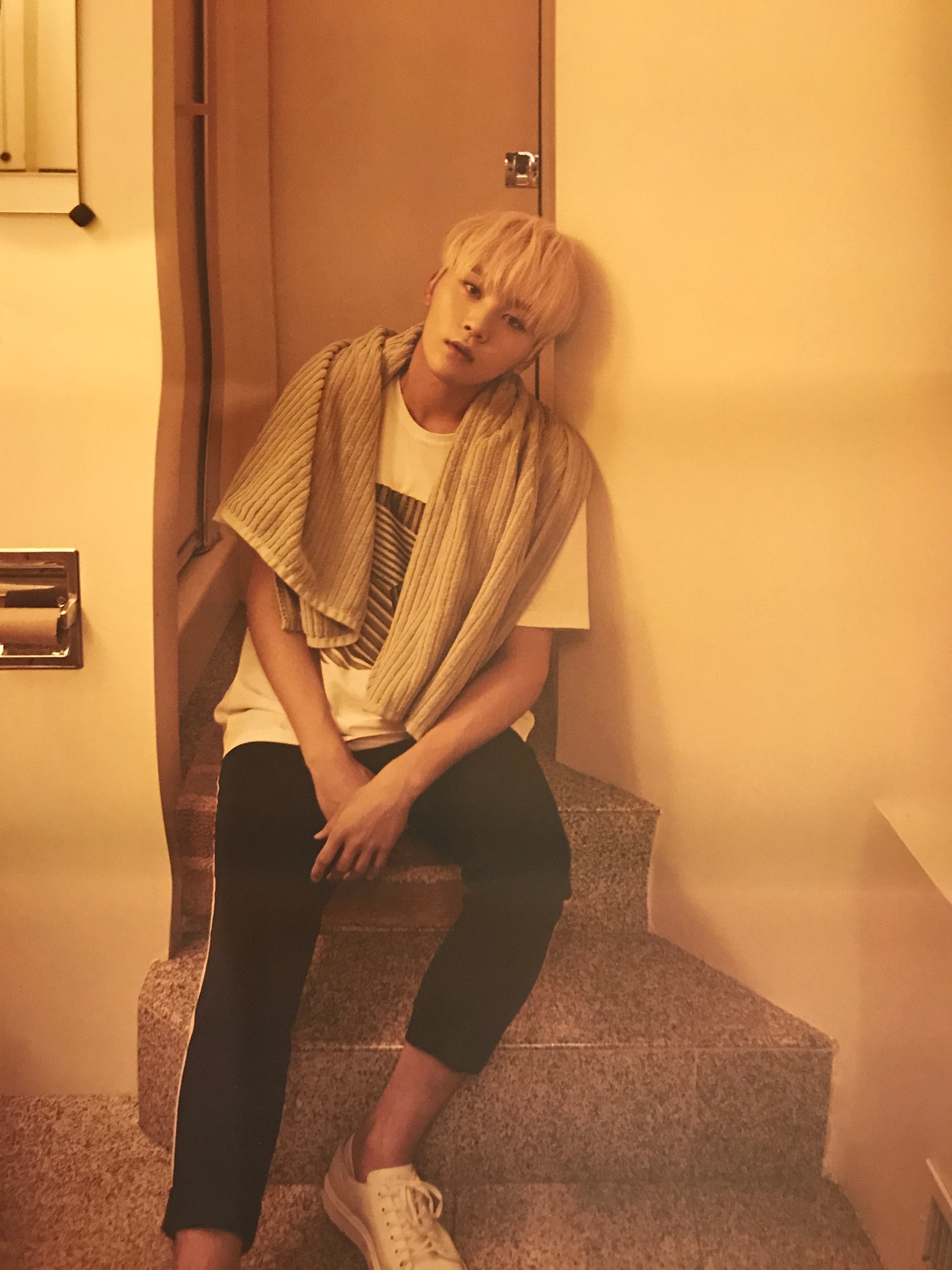 Seventeen 4th Album [Al1] - Limited Member Unfolded Poster