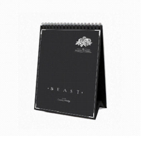 비스트 BEAST - 2015 Season's Greetings