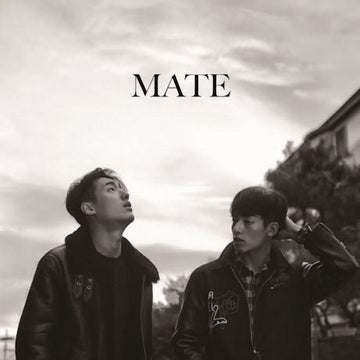 메이트 Mate - End of The World