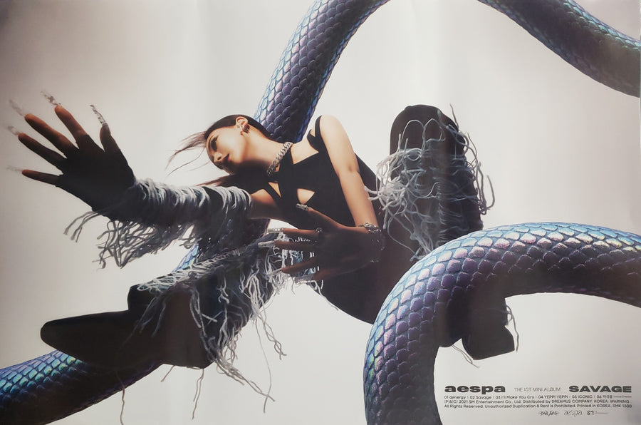 Aespa 1st Mini Album Savage (Hallucination Quest Version) Official Poster - Photo Concept Karina