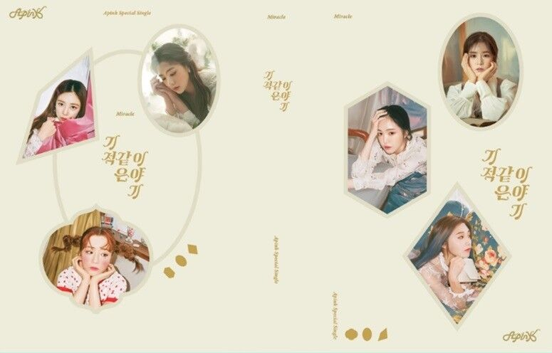 Apink Special Single