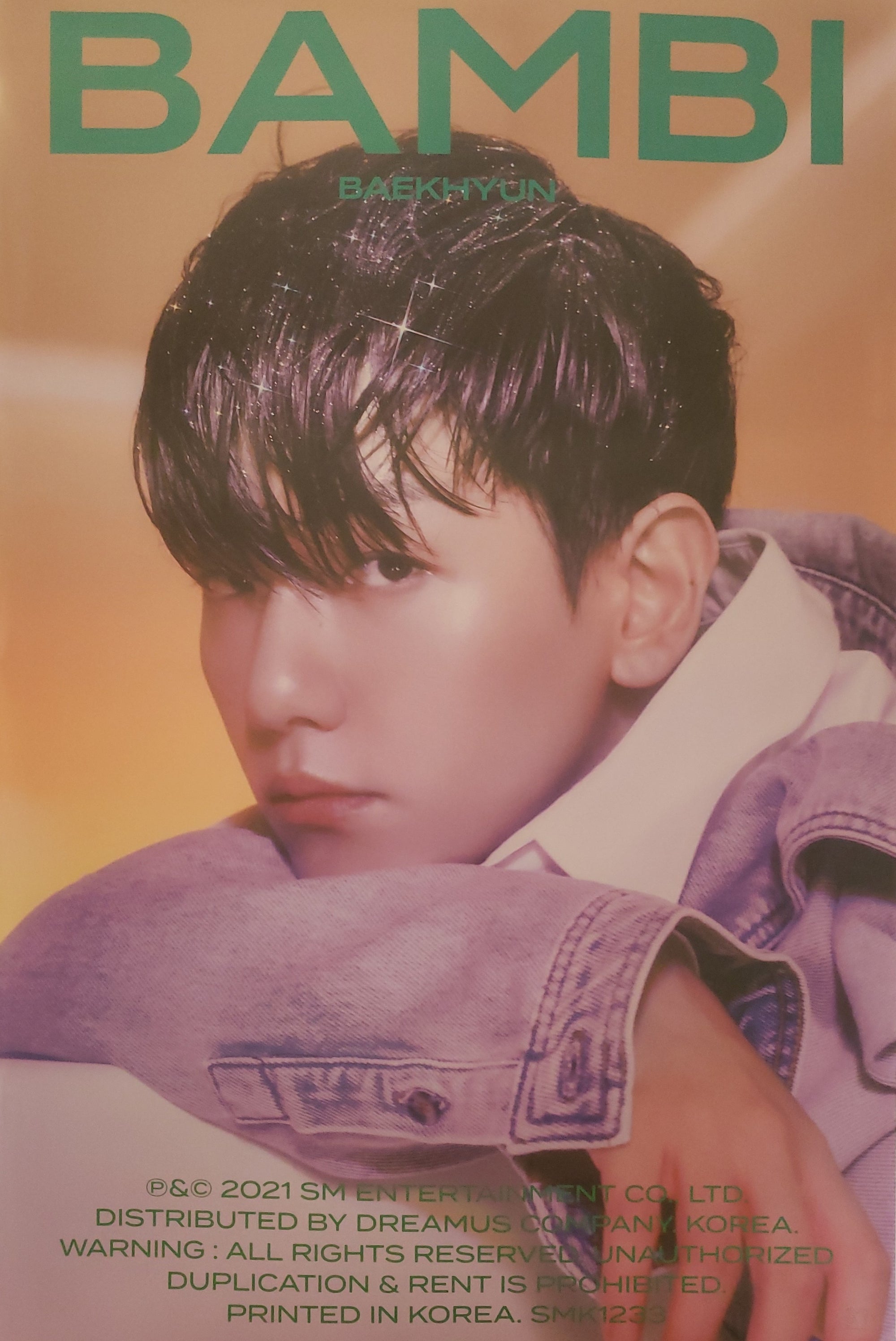 BAEKHYUN 3rd Mini Album BAMBI (Photobook Ver.) Official Poster - Photo Concept Night Rain 1