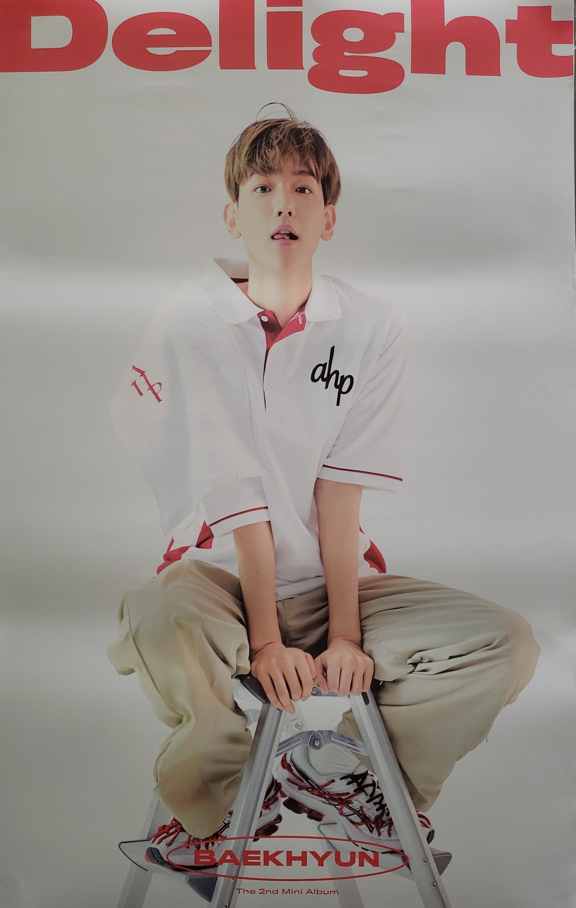 Baekhyun 2nd Mini Album Delight (Chemistry Version) Official Poster - Photo Concept 1