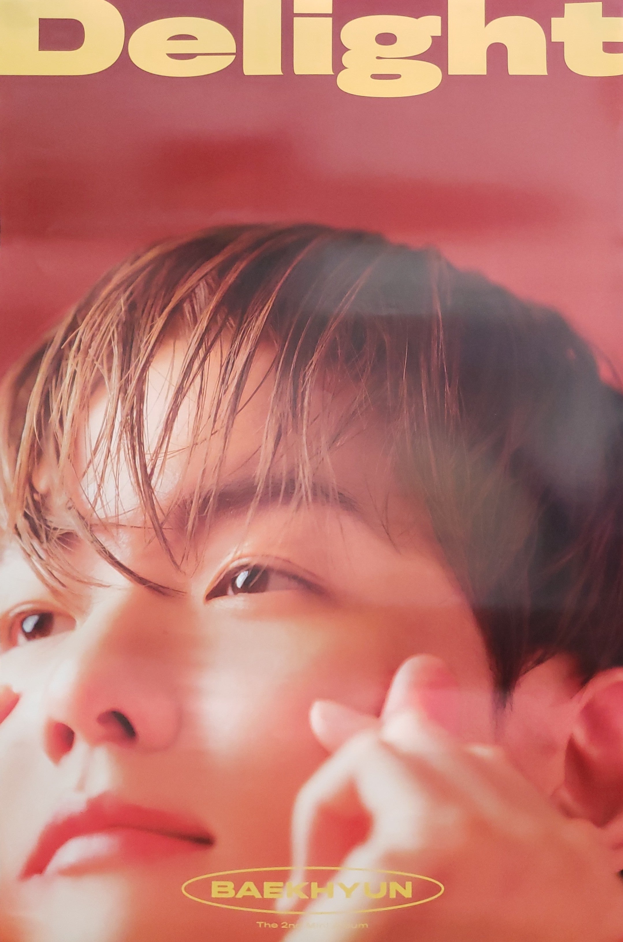 Baekhyun 2nd Mini Album Delight Official Poster - Photo Concept