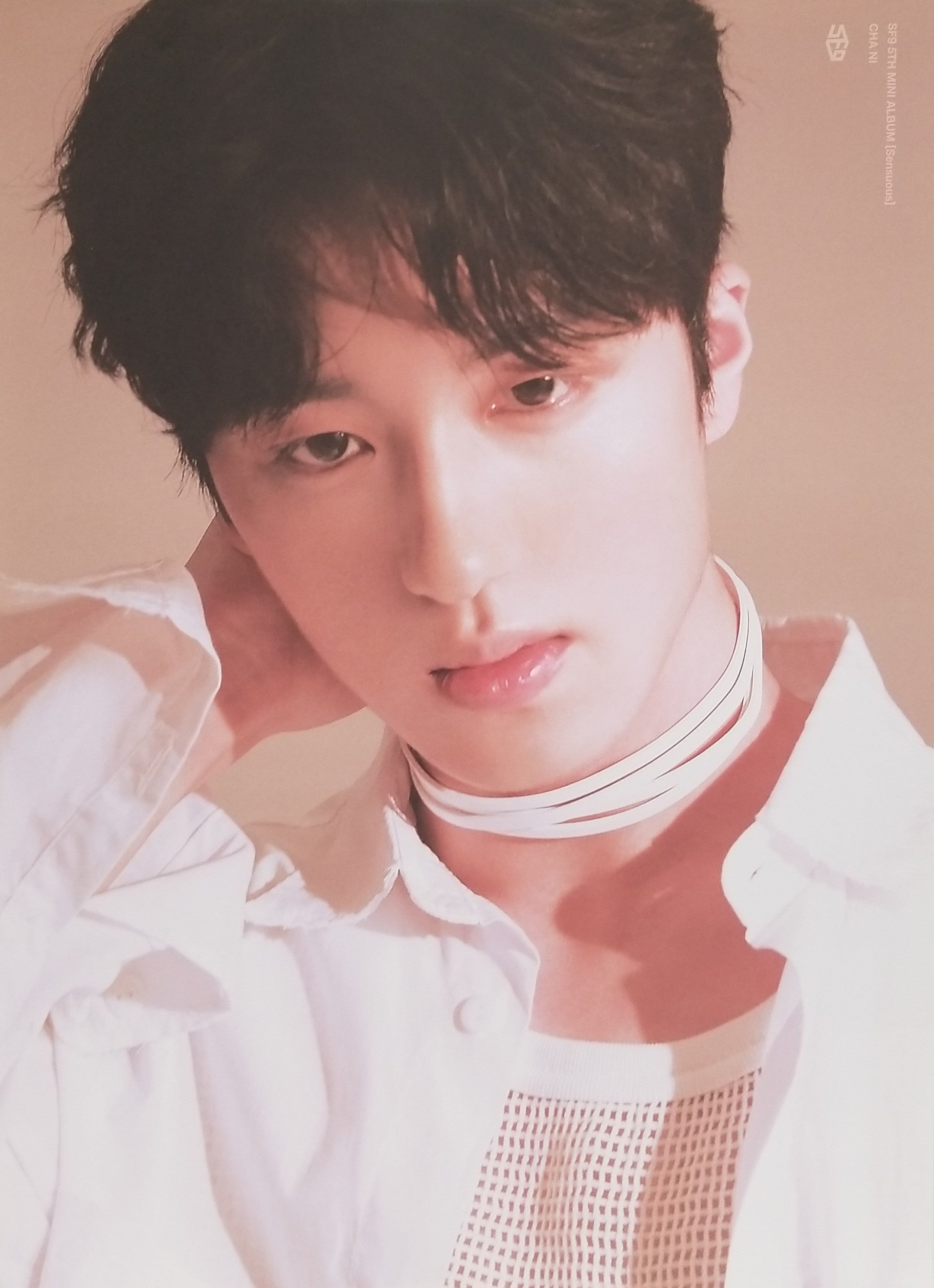 SF9 5th Mini Album Sensuous Official Poster - Photo Concept Cha Ni