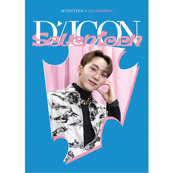 D-Icon D&#39;Festa Mini Edition : Seventeen