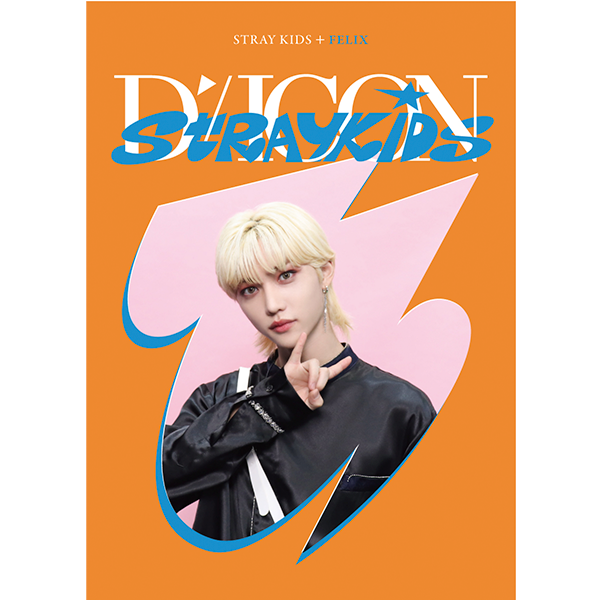 D-Icon D'Festa Mini Edition : Stray Kids – Choice Music LA