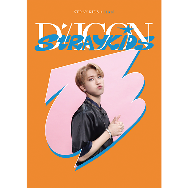 D-Icon D'Festa Mini Edition : Stray Kids – Choice Music LA