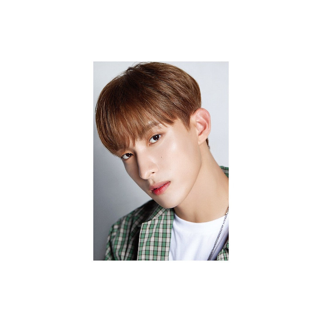 D-Icon Magazine D&#39;Festa - Seventeen