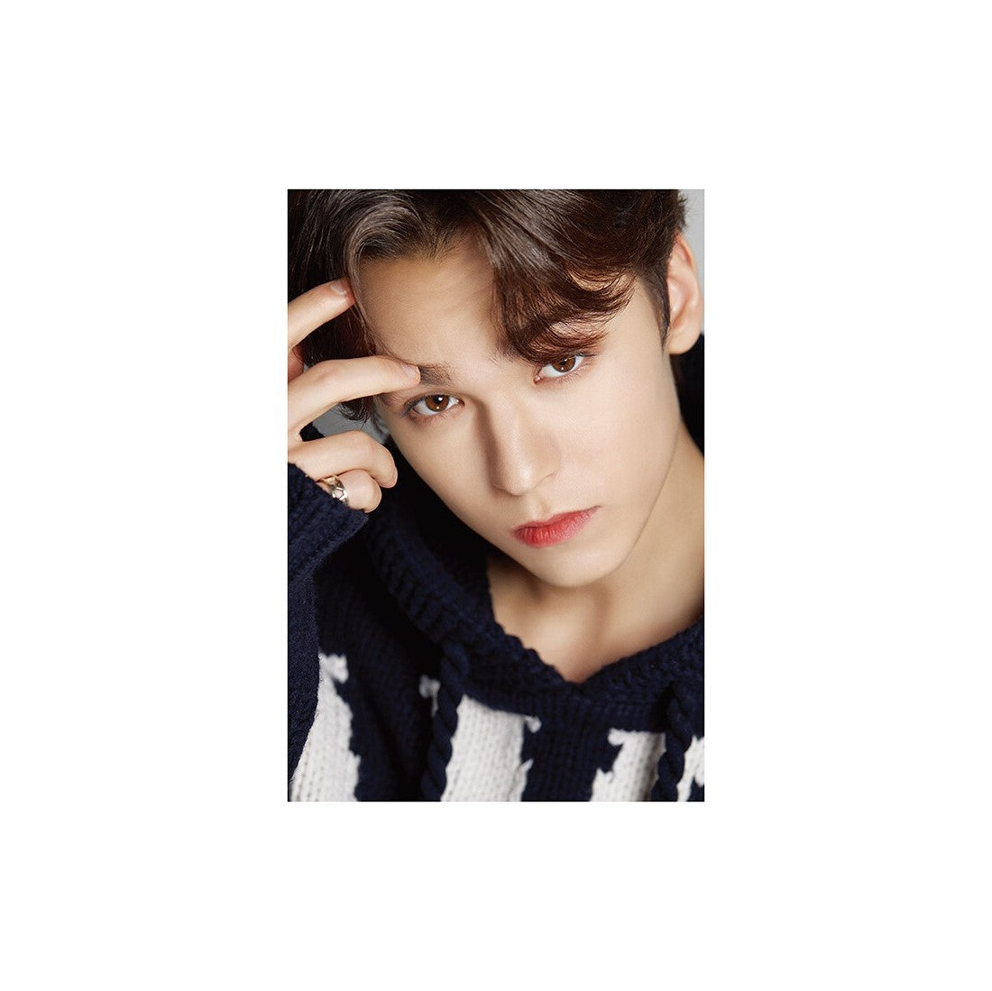 D-Icon Magazine D&#39;Festa - Seventeen