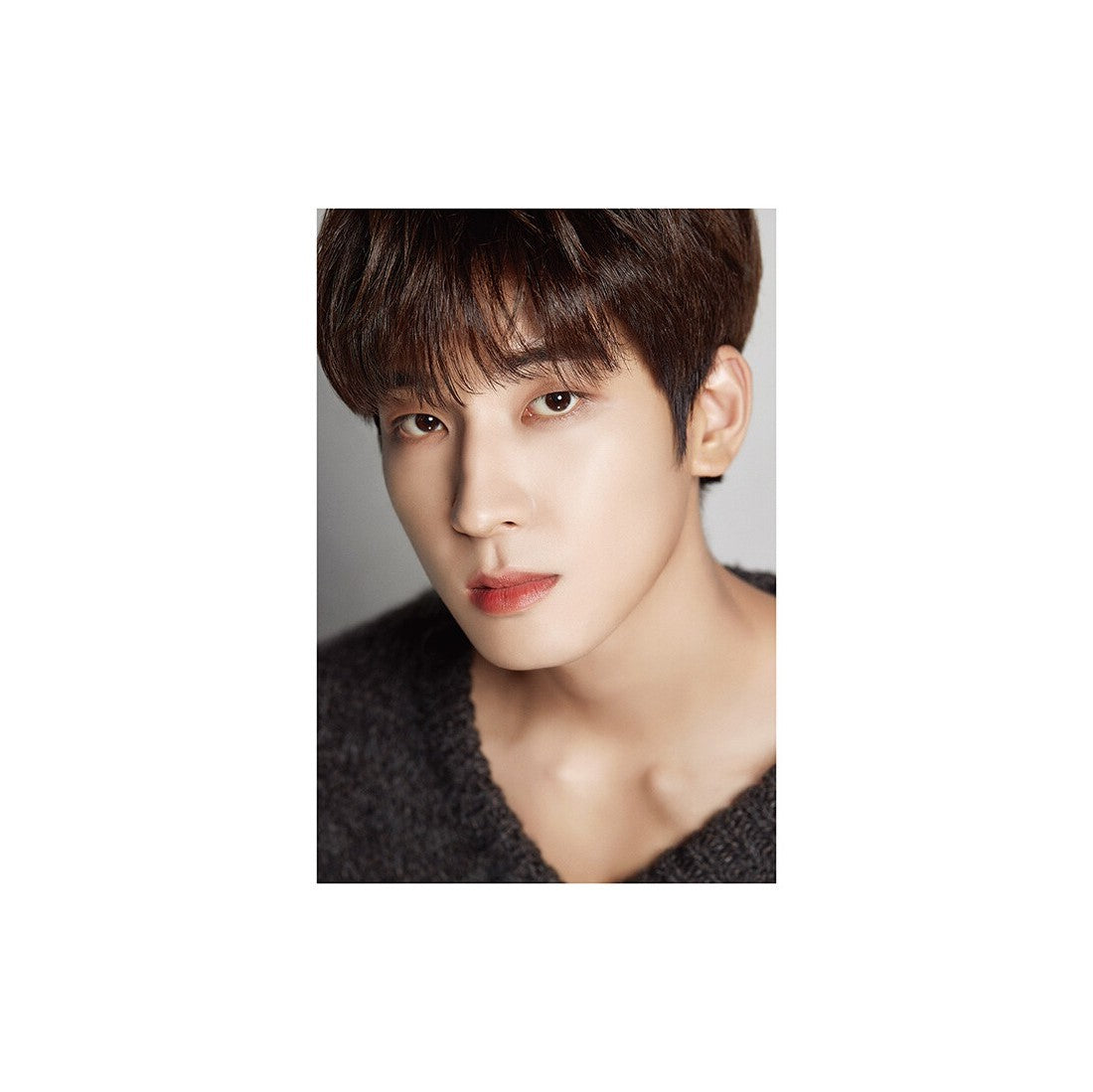 D-Icon Magazine D&#39;Festa - Seventeen