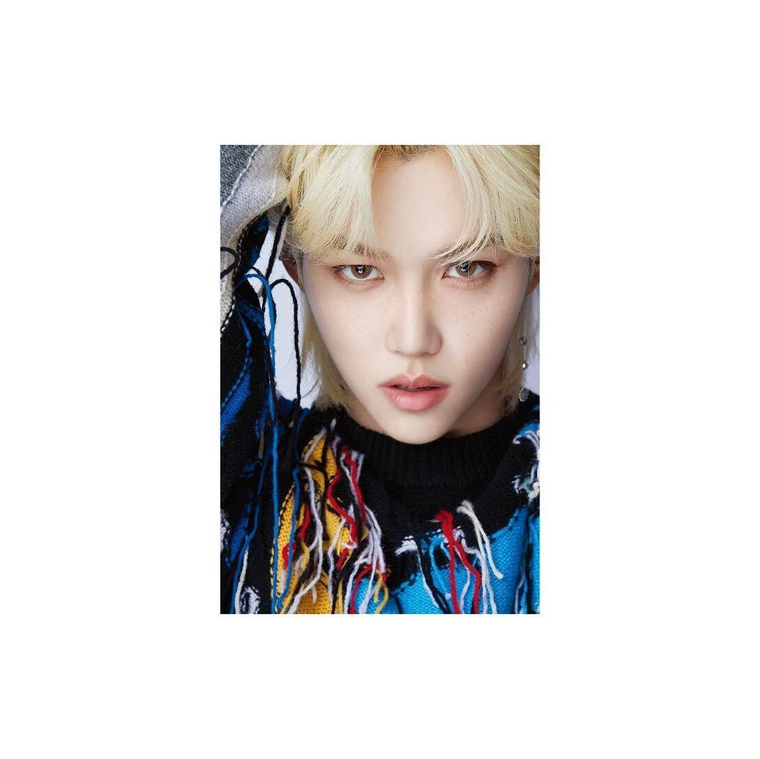 DICON D'FESTA STRAY KIDS FELIX version《全額内金》 : Stray