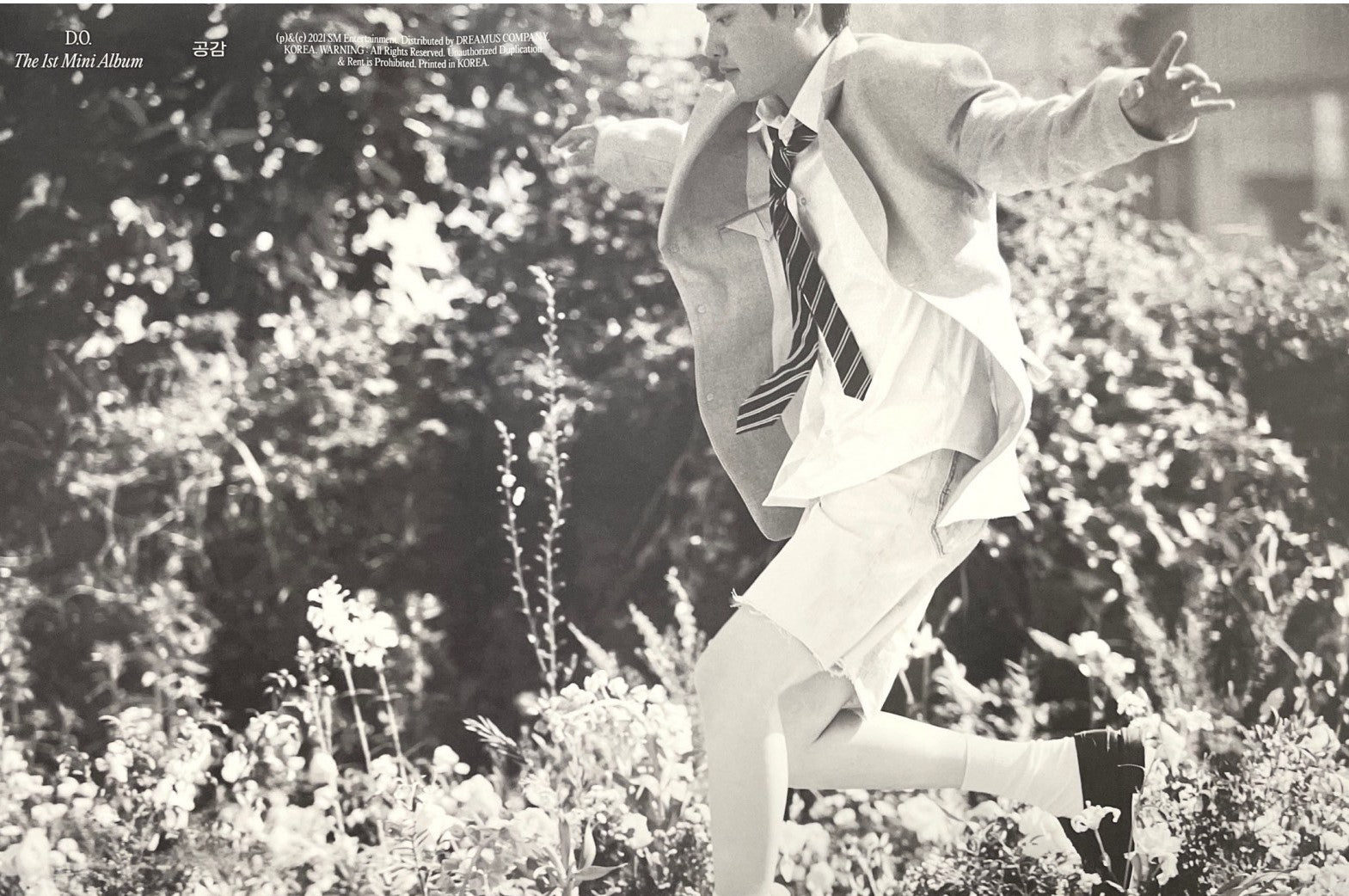 D.O 1st Mini Album [공감] Empathy (Photobook Ver) Official Poster - Photo Concept 2