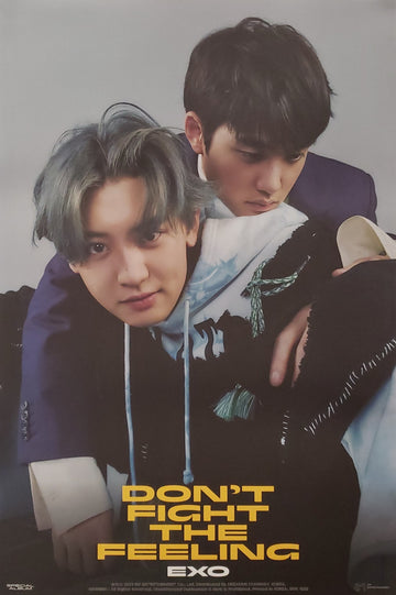 EXO SPECIAL ALBUM DON'T FIGHT THE FEELING (EXPANSION VER) Official Poster - Chanyeol & D.O. Version