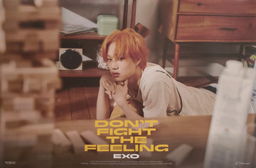 EXO SPECIAL ALBUM DON'T FIGHT THE FEELING (EXPANSION VER) Official Poster - Kai Version