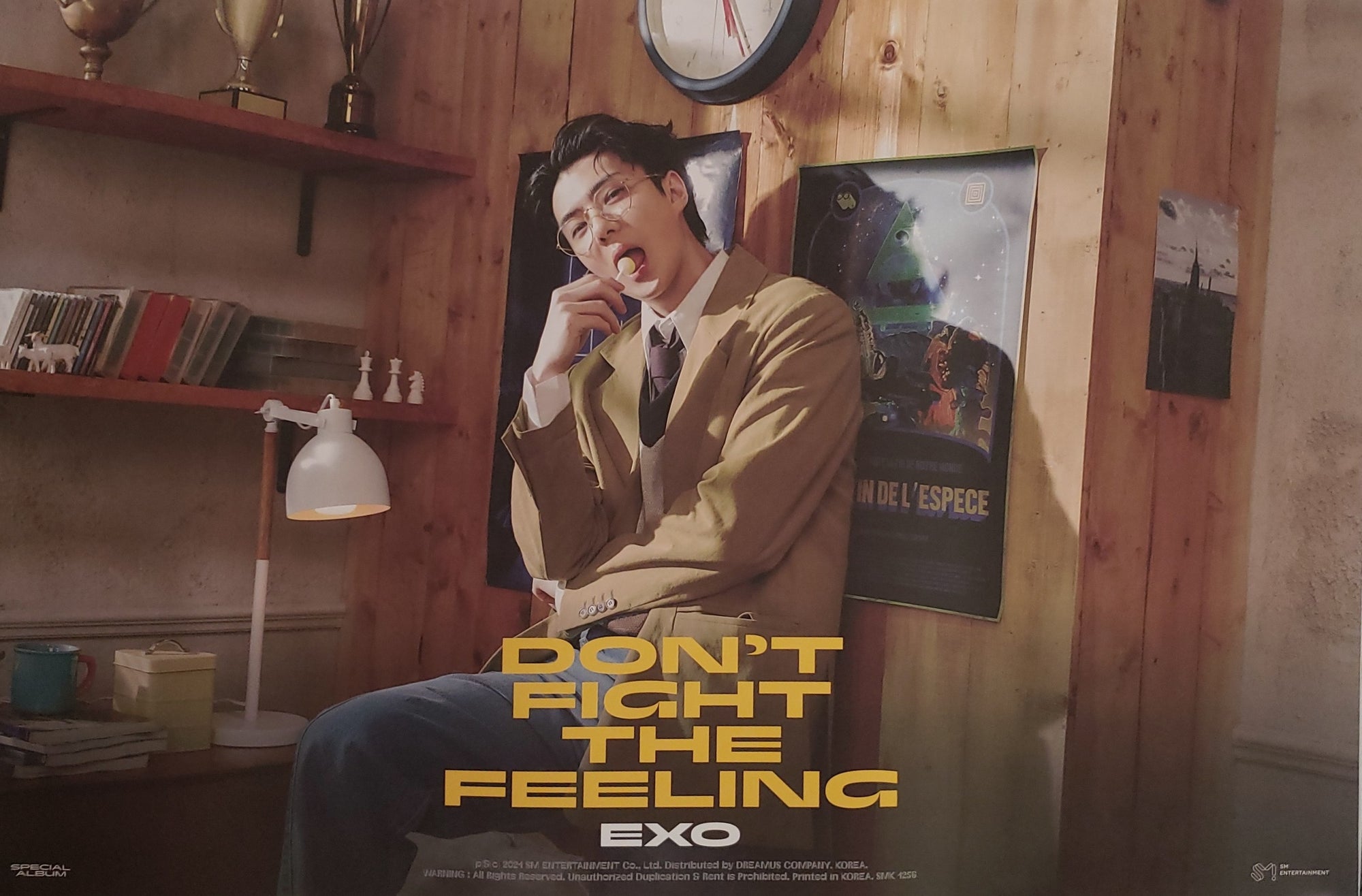 EXO SPECIAL ALBUM DON&#39;T FIGHT THE FEELING (EXPANSION VER) Official Poster - Sehun Version