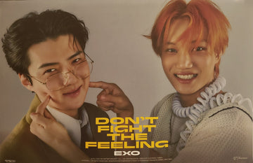 EXO SPECIAL ALBUM DON'T FIGHT THE FEELING (EXPANSION VER) Official Poster - Sehun & Kai Version