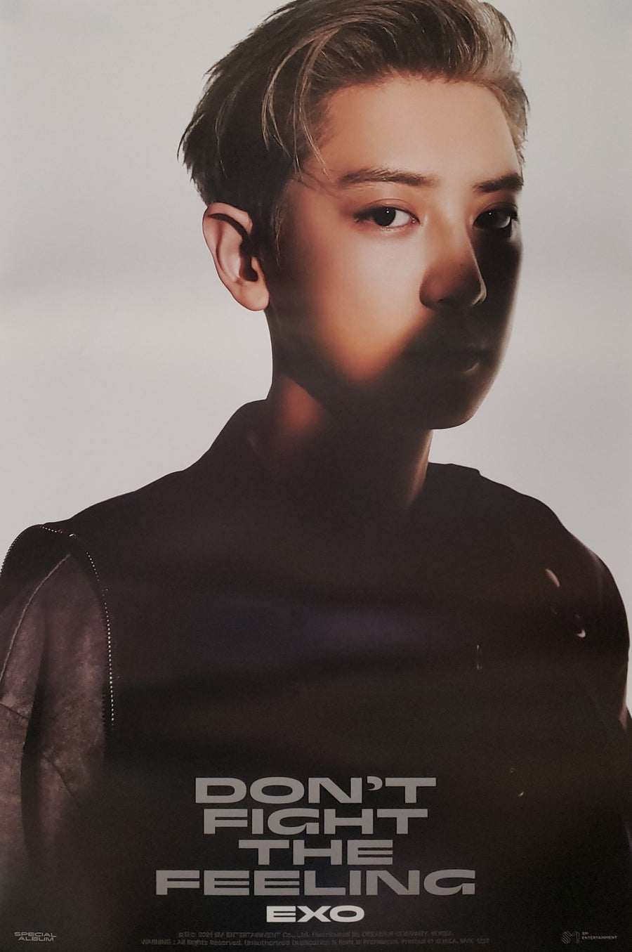 EXO SPECIAL ALBUM DON'T FIGHT THE FEELING (JEWEL CASE VER) Official Poster - Chanyeol Version