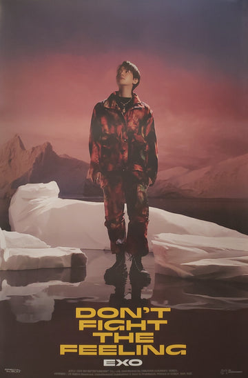 EXO SPECIAL ALBUM DON'T FIGHT THE FEELING (PHOTOBOOK VER 1) Official Poster - Baekhyun Version