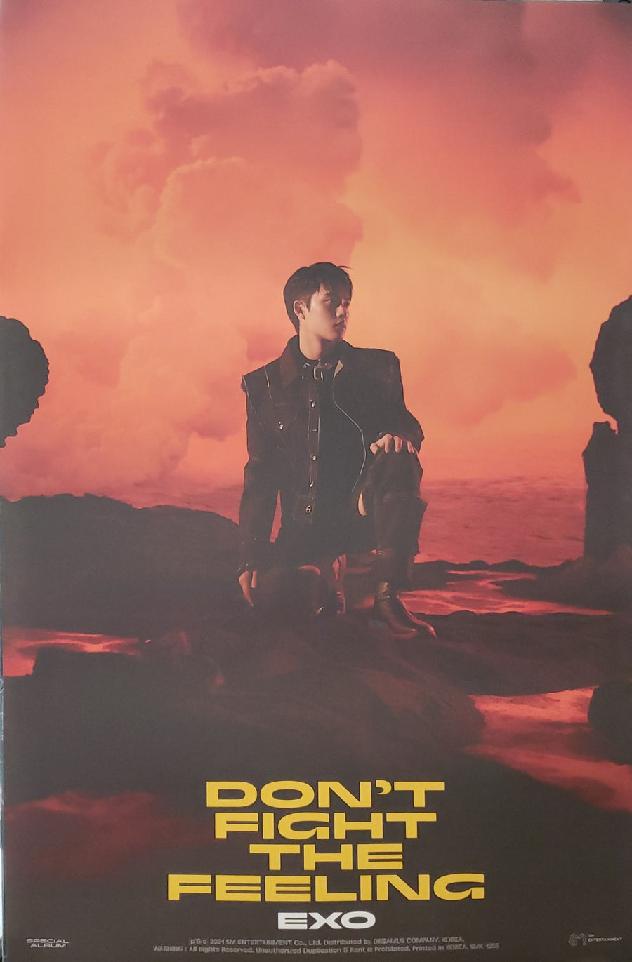 EXO SPECIAL ALBUM DON'T FIGHT THE FEELING (PHOTOBOOK VER 1) Official Poster - D.O. Version