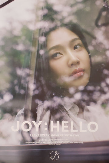 JOY SPECIAL ALBUM HELLO Official Poster - Photo Concept 1