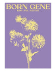 Kim Jae Joong 3rd Album - Born Gene