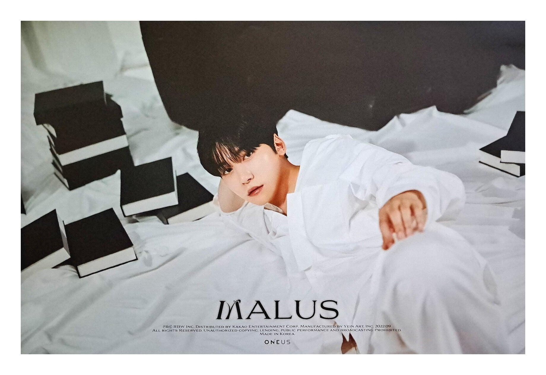 Malus Ravn Oneus Oneus 8th Mini Album MALUS (Eden Ver.) Official Poster - Photo Concept ...