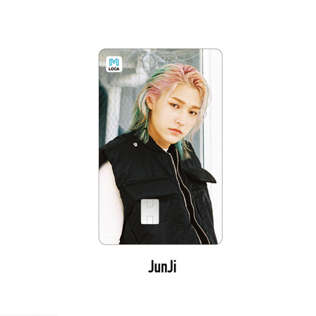OnlyOneOf seOul cOllectiOn - Loca Mobility Card