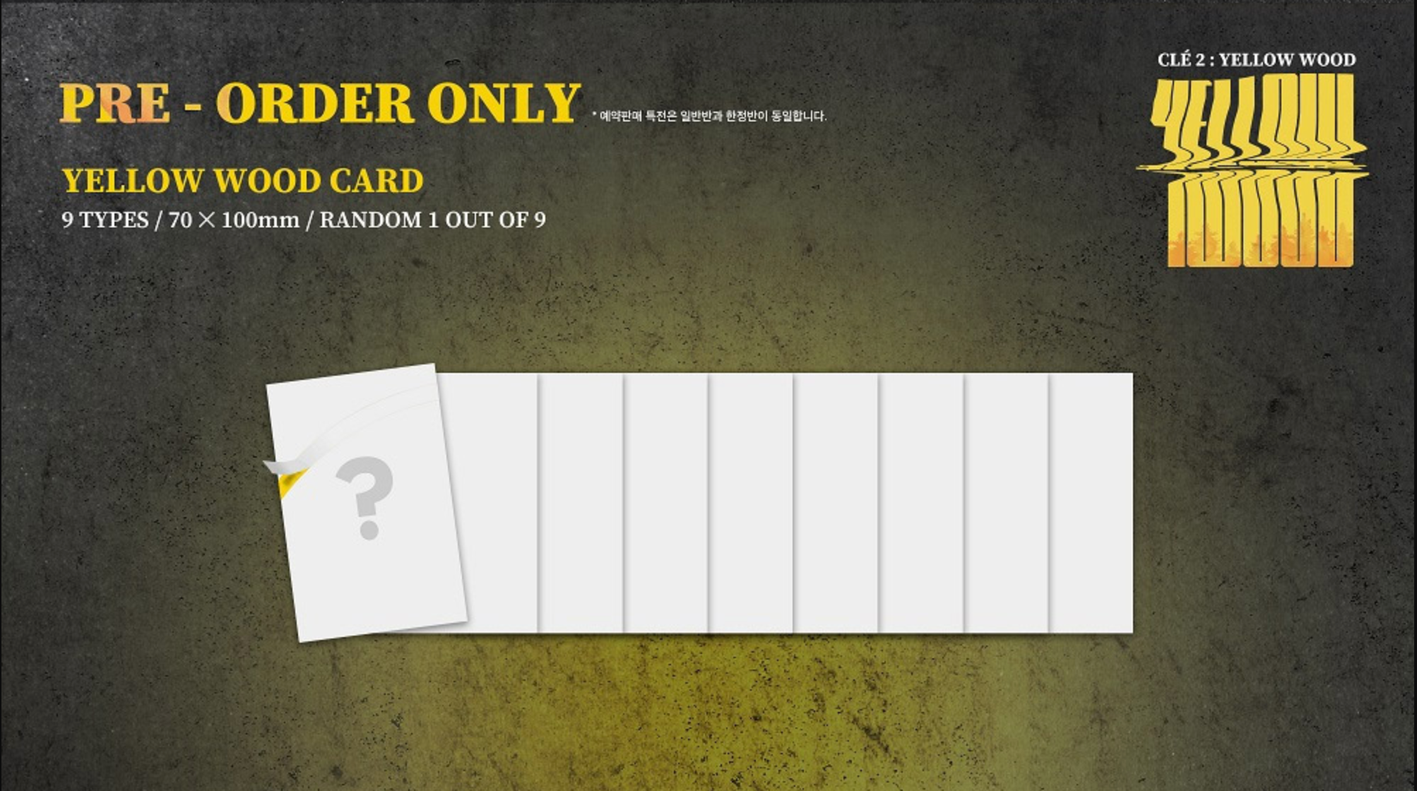 Stray Kids - Cle2 : Yellow Wood (Limited Ver) – Choice Music LA