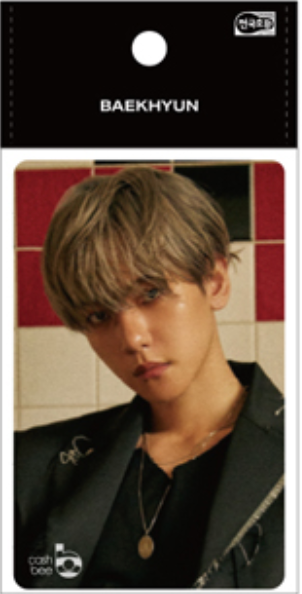 Baekhyun City Lights - Transportation Card
