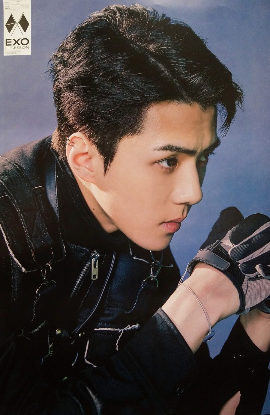 EXO 6th Album Obsession Official Poster - Photo Concept Sehun C
