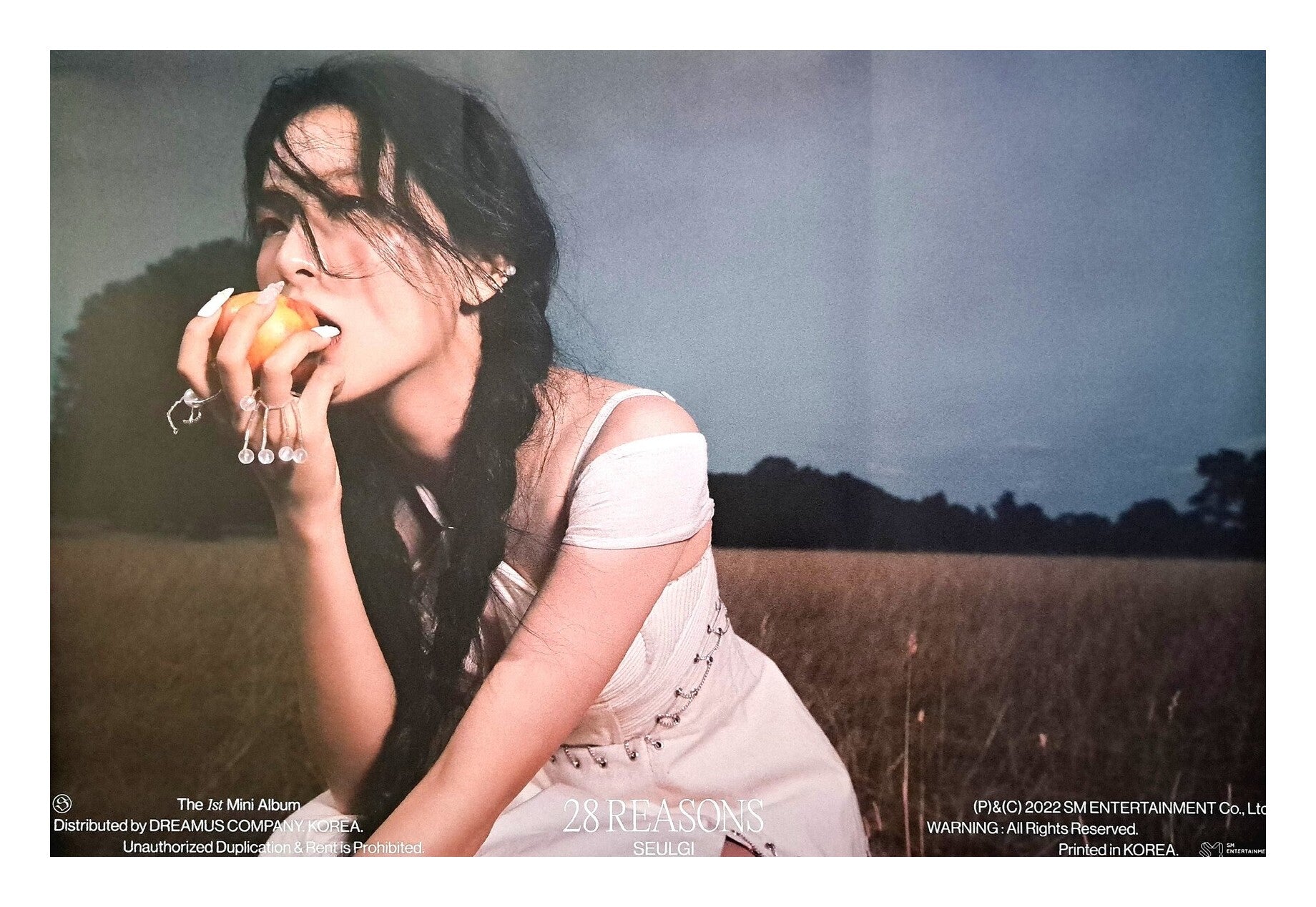 Seulgi 1st Mini Album 28 Reasons (Special Ver) Official Poster - Photo Concept 2