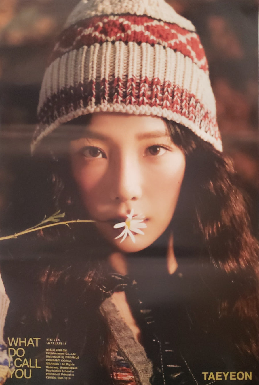 TAEYEON 4th Mini Album What Do I Call You Official Poster - Photo Concept 3
