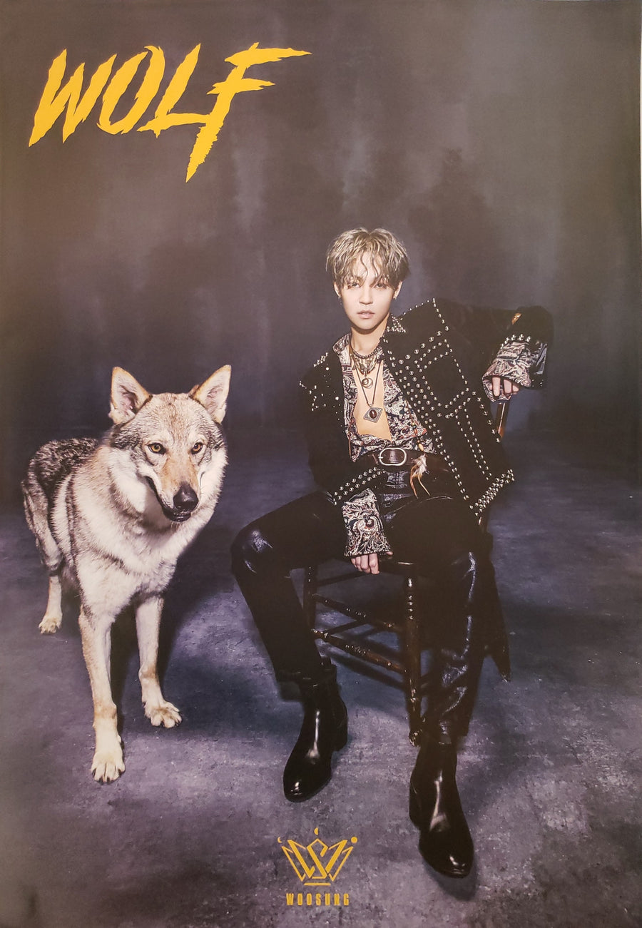 WooSung 1st Mini Album WOLF Official Poster - Photo Concept 1