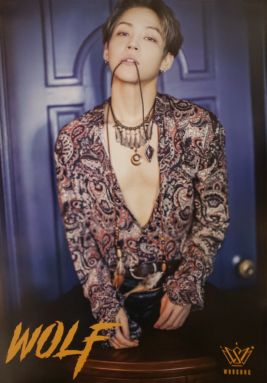 WooSung 1st Mini Album WOLF Official Poster - Photo Concept 2