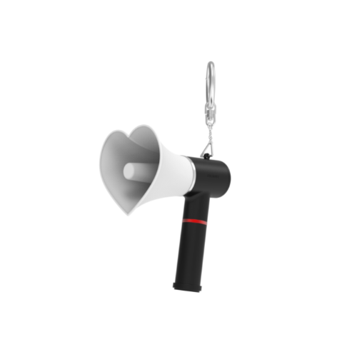 The Boyz Official Light Stick Keyring